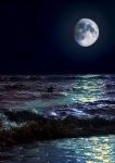 notte di luna